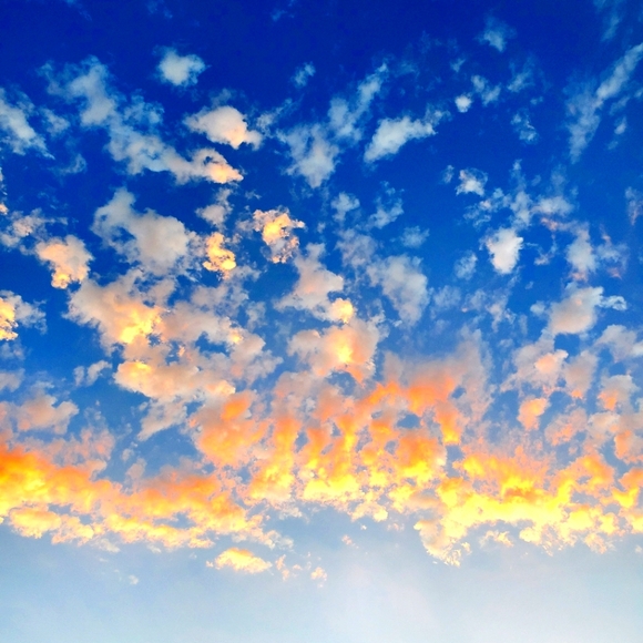 Meet your Posher, Stu - Picture 1 of 1